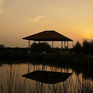 Blackbuck Safari Lodge Velavadar